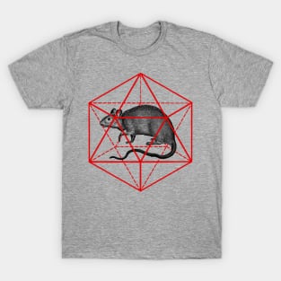 Rat in icosahedron T-Shirt